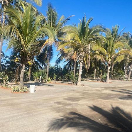 Bungalows Laguna Del Tule San Patricio Melaque Exterior photo